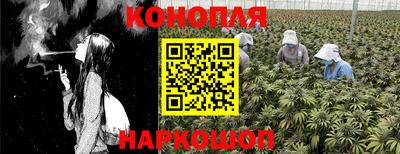 альфа пвп Железногорск