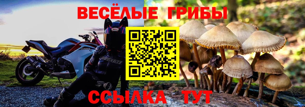 Дмитров  Галлюциногенные грибы мицелий  Вход с VPN  Галлюциногенные грибы ЛСД 